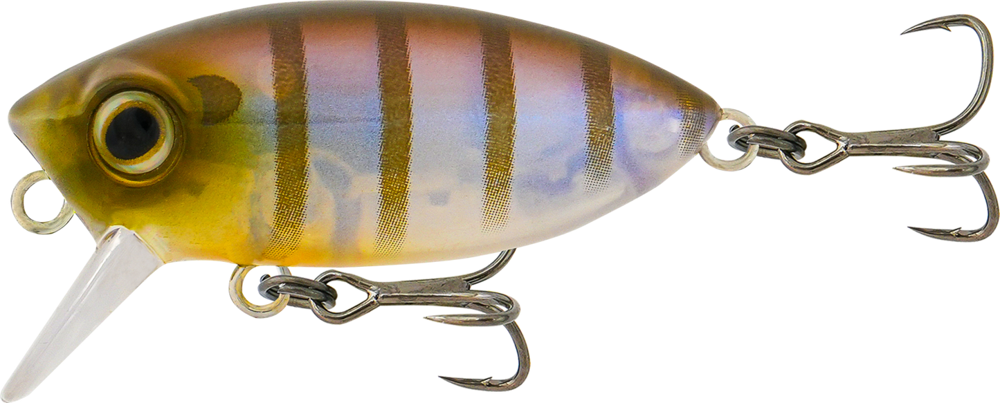 Samaki Redic Footy Bug Hard Body Lure