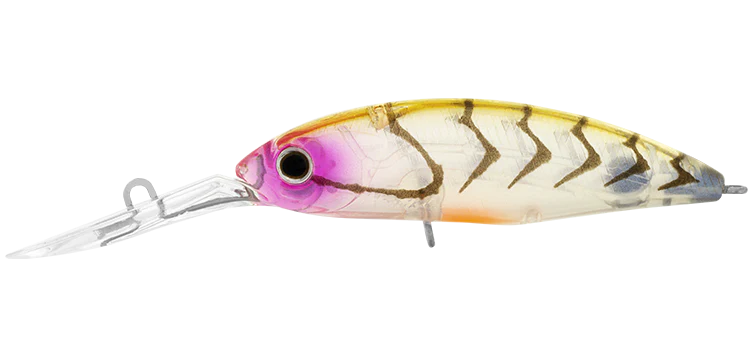 Daiwa Infeet Spike 53SP