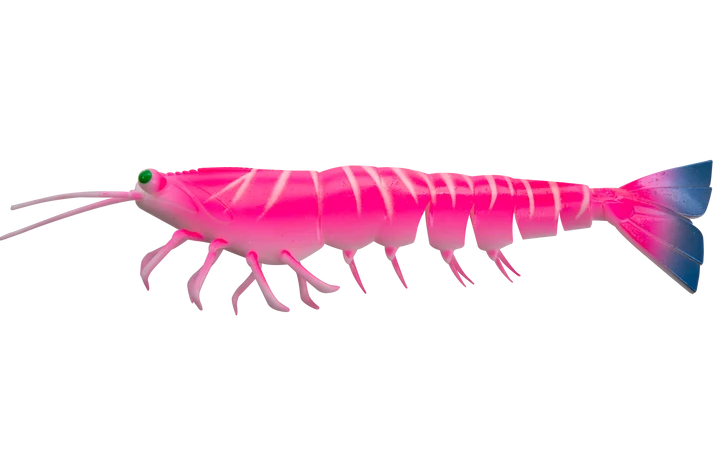 Irukandji Megaprawn 210mm Soft Plastic