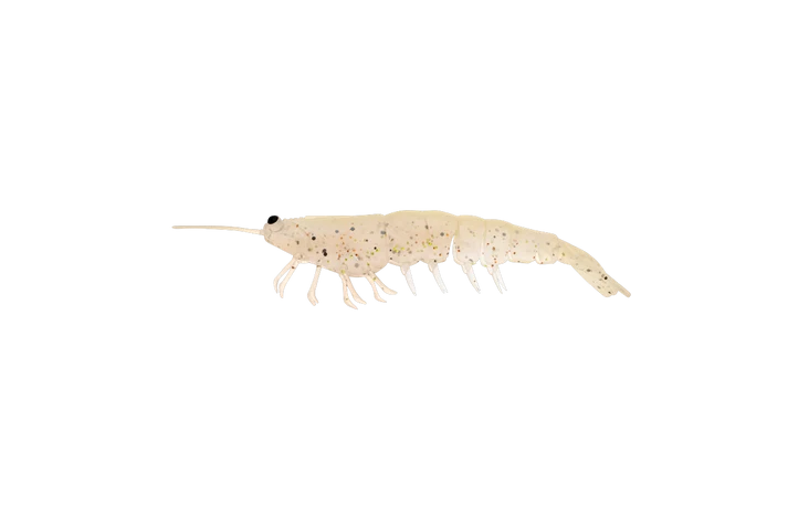 Irukandji Megaprawn 165mm Soft Plastic