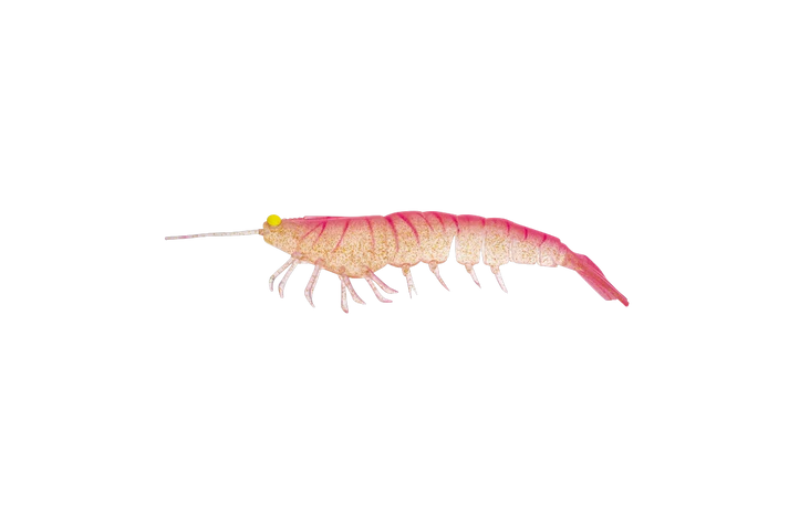 Irukandji Megaprawn 165mm Soft Plastic