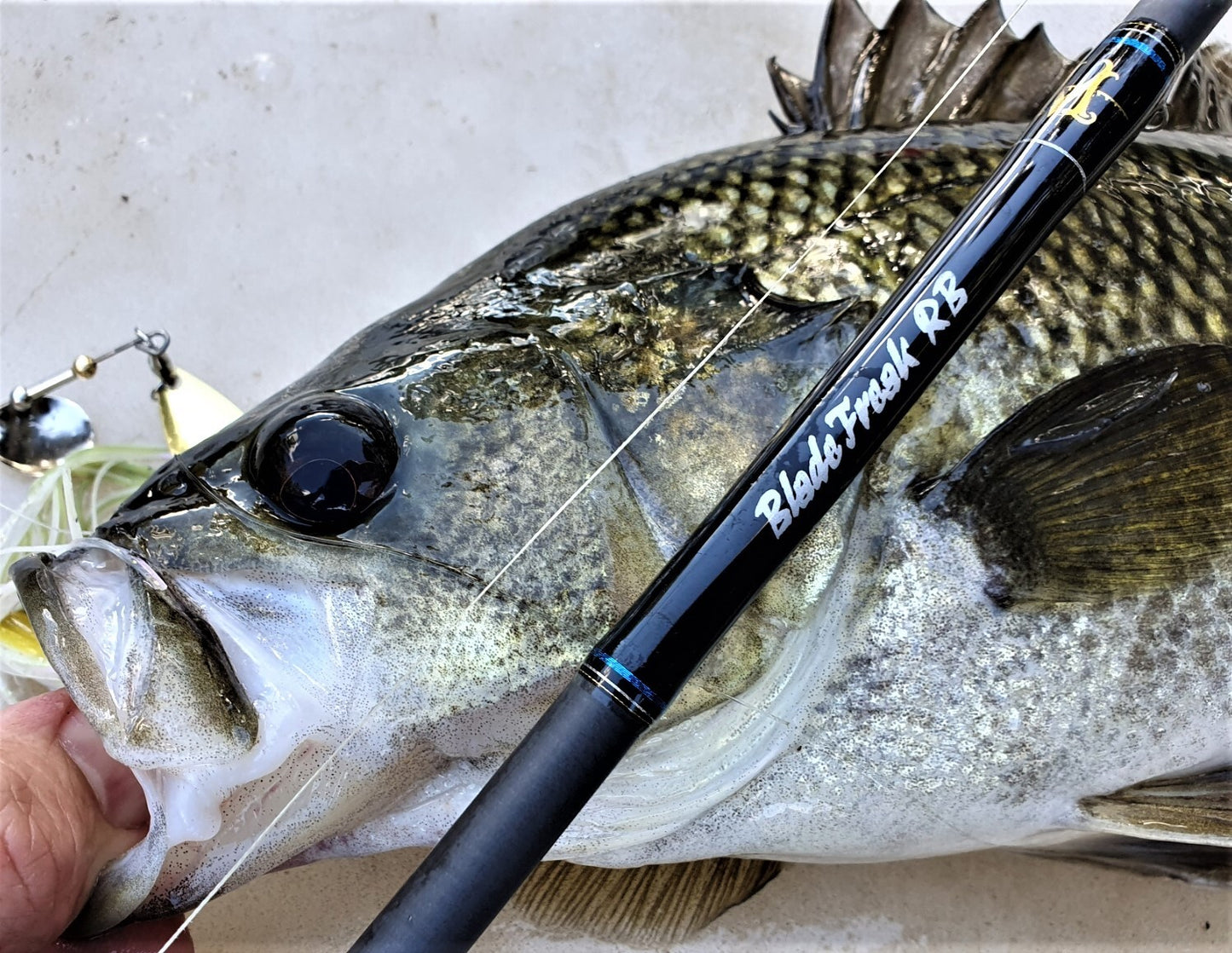 MIllerods Riverbass BladeFreaK 661 Baitcast Rod