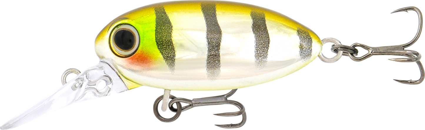 Samaki Redic Beetle Bug Hard Body Lure