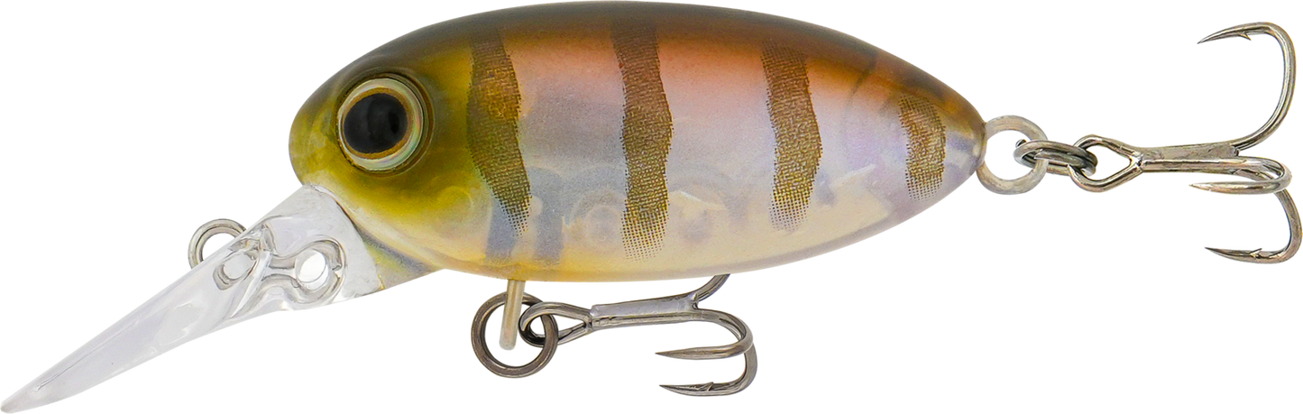 Samaki Redic Beetle Bug Hard Body Lure