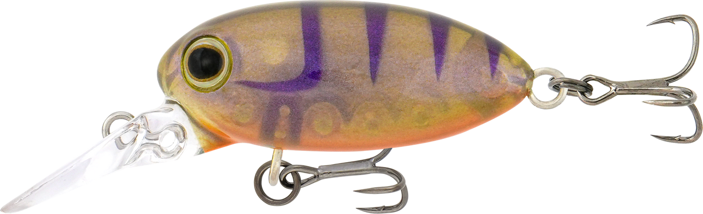 Samaki Redic Beetle Bug Hard Body Lure