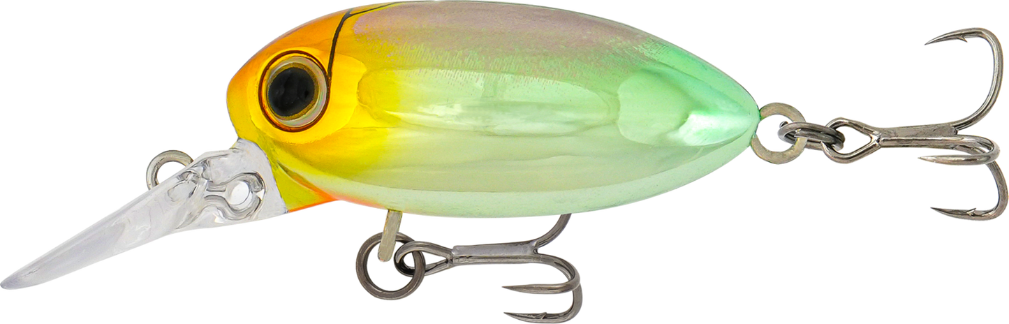 Samaki Redic Beetle Bug Hard Body Lure