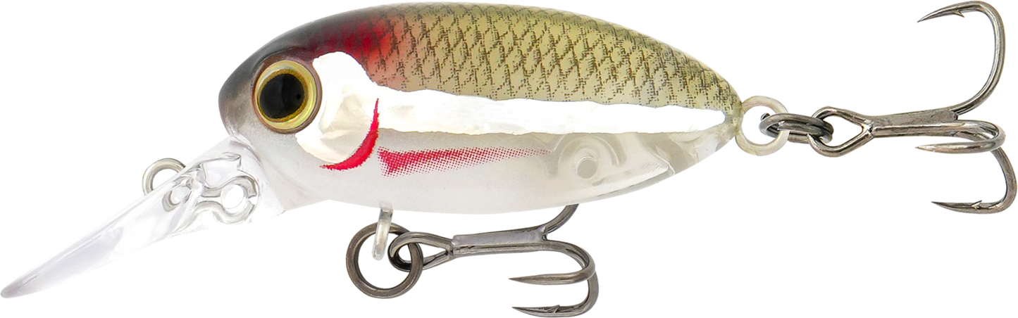 Samaki Redic Beetle Bug Hard Body Lure