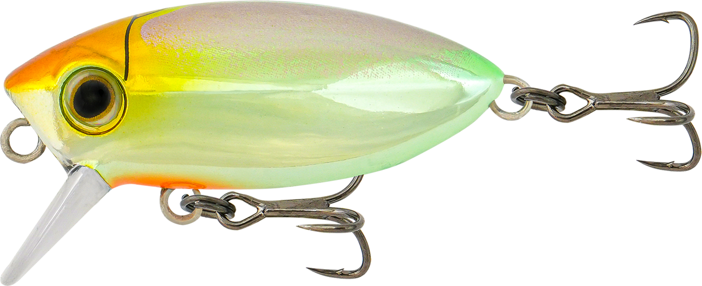 Samaki Redic Footy Bug Hard Body Lure