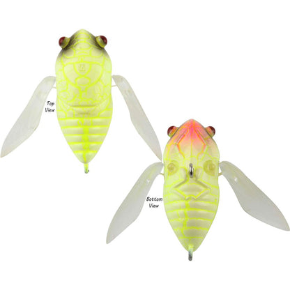 Atomic Hardz Cicada 35mm Surface Lure