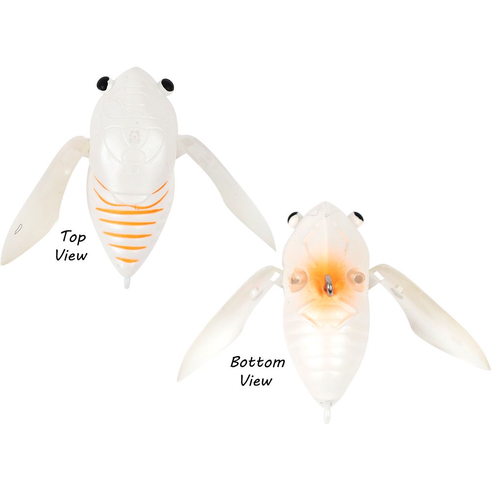 Atomic Hardz Cicada 35mm Surface Lure