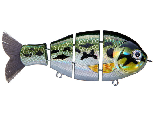 Bucca Baby Bull Gill 3.75in Swimbait Lure