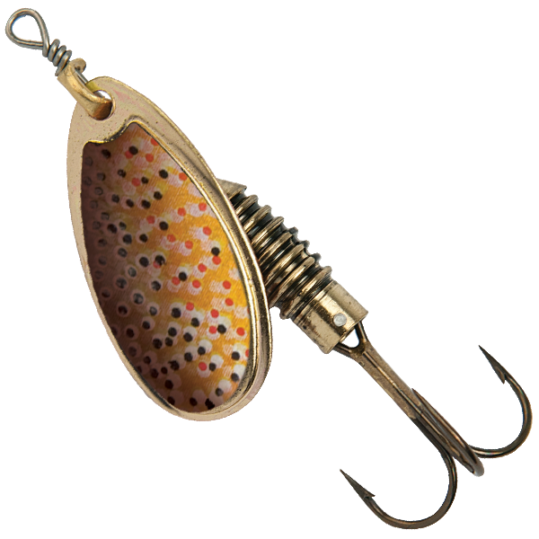 CELTA No2 Rainbow trout Gold
