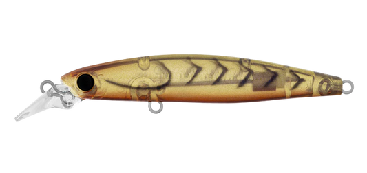 Daiwa Infeet Sazanami 60SP