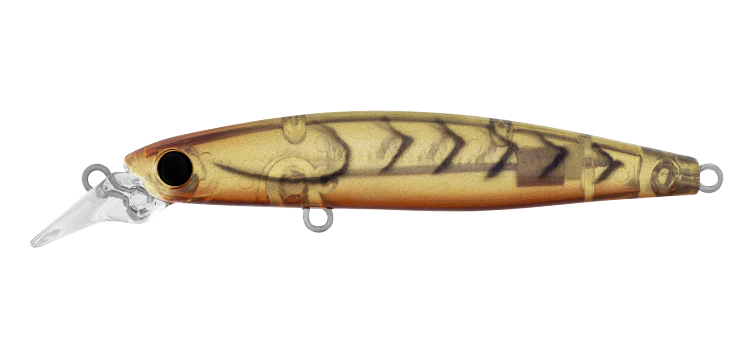 Daiwa Infeet Sazanami 60SP
