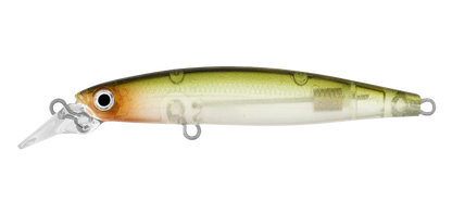 Daiwa Infeet Sazanami 60SP