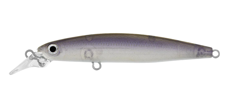 Daiwa Infeet Sazanami 60SP
