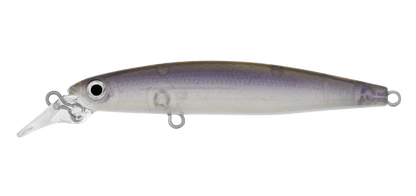 Daiwa Infeet Sazanami 60SP