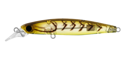 Daiwa Infeet Sazanami 60SP