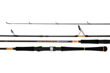 Daiwa 23 Seabass Surf Casting Rods