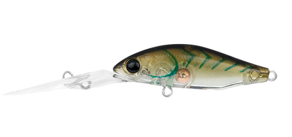 Daiwa Infeet Spike 44MR