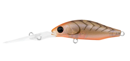 Daiwa Infeet Spike Hard Body Lure 44EXDR