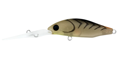 Daiwa Infeet Spike 44MR