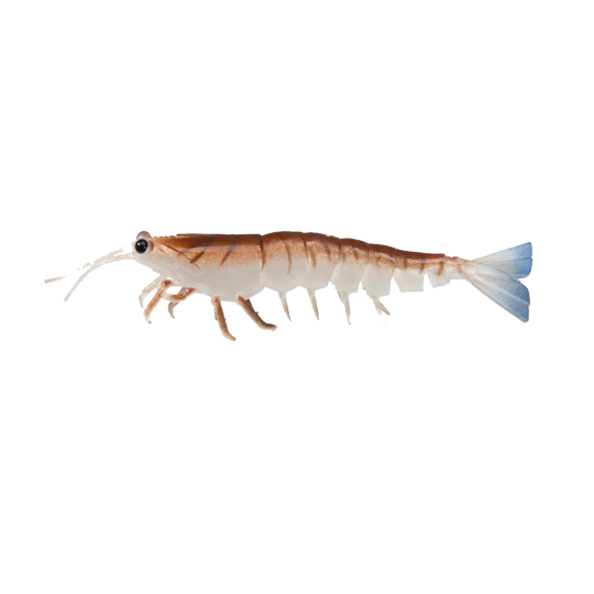 Irukandji Megaprawn 80mm Soft Plastic Lure