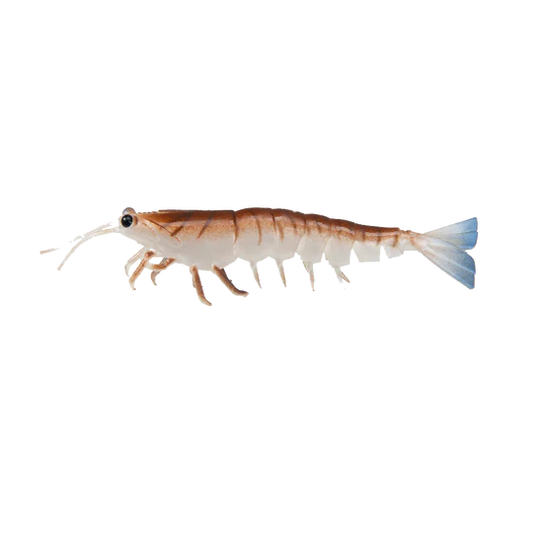 Irukandji Megaprawn 80mm Soft Plastic Lure