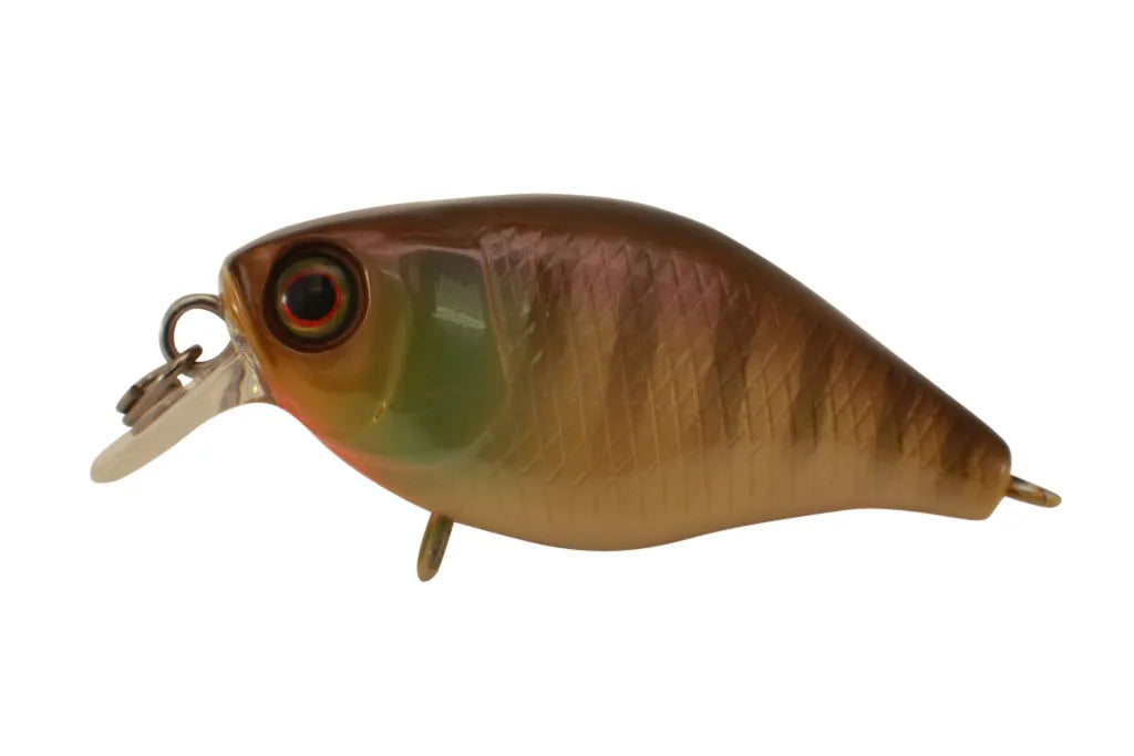 Jackall Chubby 38mm Shallow