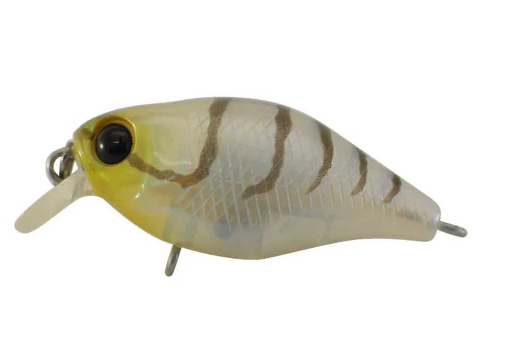 Jackall Chubby 38mm Shallow