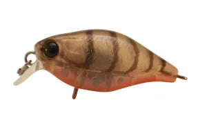 Jackall Chubby 38mm Shallow