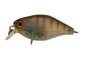Jackall Chubby 38mm Shallow
