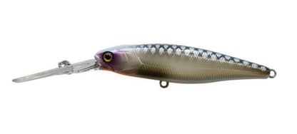 Jackall DD Squirrel 67mm Silent Suspending Lure