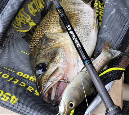 Millerods Riverbass SwimFreaK 661 Baitcast rod