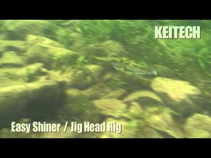 Keitech Easy Shiner 4inch Soft Plastic